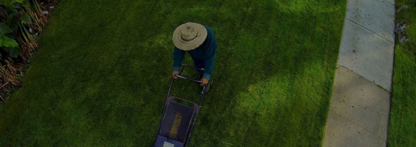 Herramientas de jardinería - Jardinería Marve